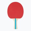 Paletă de ping-pong STIGA Hobby Instinct black/red