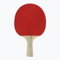Paletă de tenis de masă STIGA Blaze 1-Star