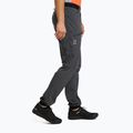 Pantaloni de trekking pentru bărbați Haglöfs L.I.M Fuse Magnetite 606942 2