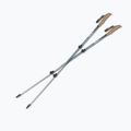 Bețe de trekking Silva Trekking Poles Alu Tele black 2