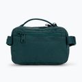 Fjällräven Kanken sac de rinichi verde F23796 6