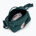 Fjällräven Kanken sac de rinichi verde F23796 7