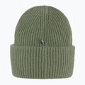 Căciulă de iarnă Fjällräven 1960 Logo Hat caper green 3