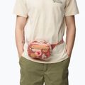 Borsetă Fjällräven Kanken Graphics Hip Pack chalk rose/hidden animals 5