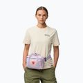 Borsetă Fjällräven Kanken 4 l pastel lavender 4
