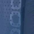 Vesta de siguranță POC Spine VPD Air Vest cubane blue 5