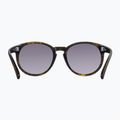 Ochelari de soare POC Know tortoise brown/clarity road/sunny silver 3