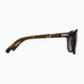 Ochelari de soare POC Know tortoise brown/clarity road/sunny silver 4