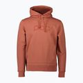 Tricou de trekking pentru bărbați POC 62093 Hood himalayan salt