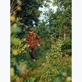 Cămașă pentru bărbați Pinewood Cornwall d.green/d.copper 7