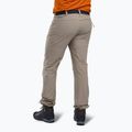 Pantaloni de trekking pentru bărbați  Pinewood Finnveden Sports Light mole brown 2