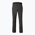 Pantaloni de trekking pentru bărbați  Pinewood Finnveden Sports Light ash grey 7