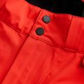 Pantaloni de schi pentru bărbați Peak Performance M Alpine, roșu, G76609010 4