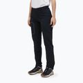 Pantaloni termoactivi pentru bărbați Peak Performance Light Scale Pants black