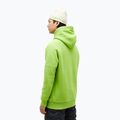 Bluză pentru bărbați Peak Performance Original Hood stand out green 2