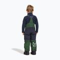 Pantaloni de schi pentru copii Didriksons Idre pine green 2