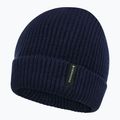 Căciulă de iarnă pentru copii Didriksons Buz Beanie navy