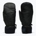 Mănuși de schi Peak Performance Leather Hipe Solarcore Insulated Mitten black