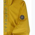Geacă de snowboard pentru bărbați Colourwear Signature Anorak yellow 3