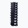 Life Fitness set de gantere cromate cu suport 1-10 kg argint LMX80.TD