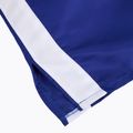 Pantaloni scurți de box pentru bărbați Cleto Reyes Satin blue/white 4