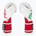 Mănuși de box Cleto Reyes Velcro Sparring red/white green red 4