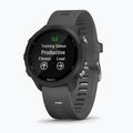Ceas sport Garmin Forerunner 245, gri, 010-02120-10
