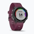 Ceas sport Garmin Forerunner 245, mov, 010-02120-11 3