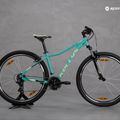 Kellys Vanity 10 29  bicicletă de munte pentru femei Vanity 10 29  verde 72263 15