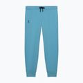 Pantaloni de antrenament pentru bărbați On Focus Tech niagara 8