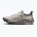 Încălțăminte de trekking pentru bărbați On Cloudhorizon 2 pearl/fog 9