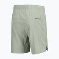 Pantaloni scurți de alergare pentru bărbați SCOTT Endurance LT spray grey 2