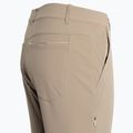 Pantaloni de trekking pentru femei MAMMUT Runbold bej 6