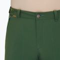 Pantaloni de trekking pentru bărbați Mammut Runbold woods 5
