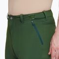 Pantaloni de trekking pentru bărbați Mammut Runbold woods 6