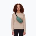 Mammut Xeron Classic kidney pouch verde 2810-00471-40236-120 7
