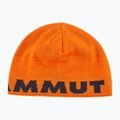 Căciulă de iarnă Mammut Logo arumita night