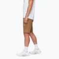 Pantaloni scurți de trekking pentru bărbați Mammut Runbold IV claystone 3