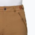 Pantaloni scurți de trekking pentru bărbați Mammut Runbold IV claystone 4