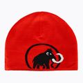Căciulă de iarnă Mammut Logo black 4