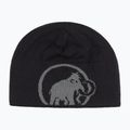 Căciulă de iarnă Mammut Logo steel/black