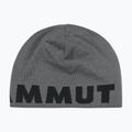 Căciulă de iarnă Mammut Logo steel/black 2