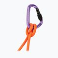 Carabinieră Mammut Classic HMS Screwgate screw gate/alpine calamint 2