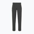 Pantaloni de trekking pentru bărbați Mammut Runbold IV Pants Men gabbro