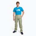 Pantaloni de trekking pentru bărbați The North Face Routeset bej NF0A5J7Y3X31 2