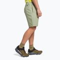 Pantaloni scurți de alpinism pentru bărbați The North Face Project bej NF0A5J8M3X31 3