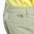 Pantaloni scurți de alpinism pentru bărbați The North Face Project bej NF0A5J8M3X31 6