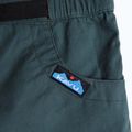 Pantaloni scurți pentru femei KAVU Chilli Chic green gables 3
