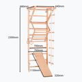 Scară de gimnastică RINAGYM Sport 3 9