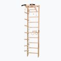 Scară de gimnastică RINAGYM SPR A 2